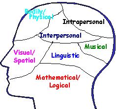 test de 7 intelligences