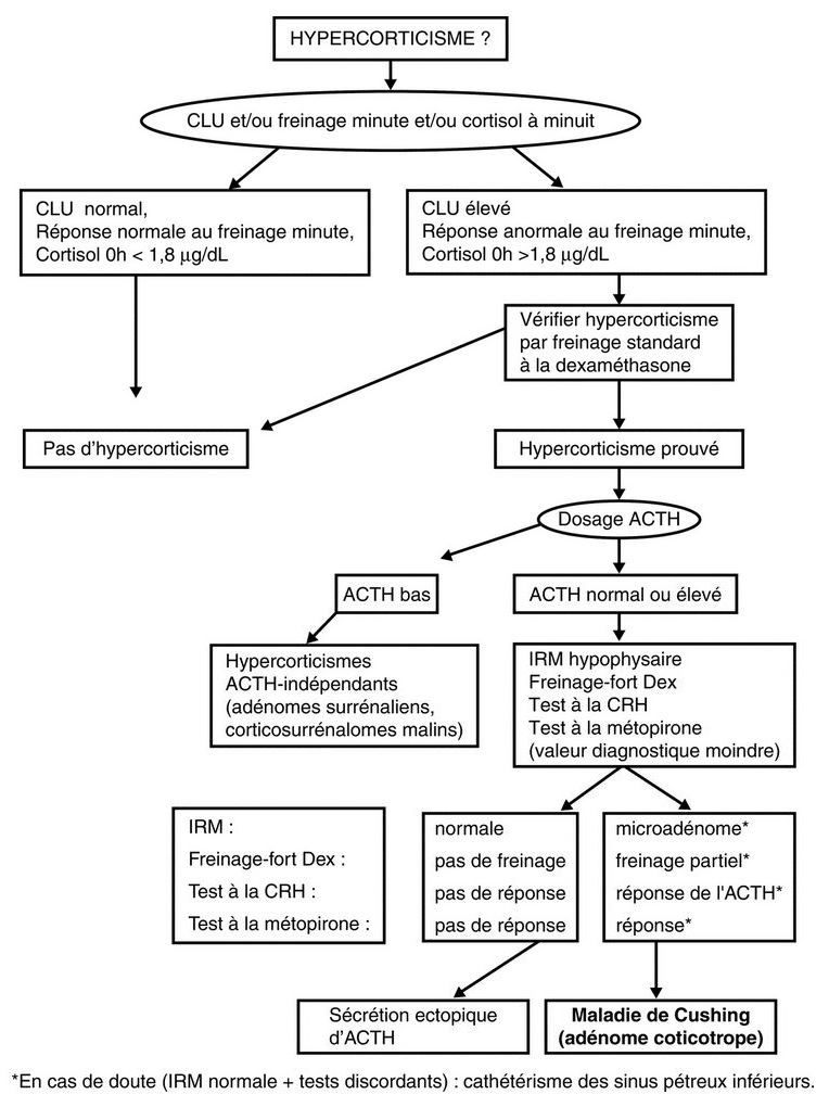 test de freinage minute