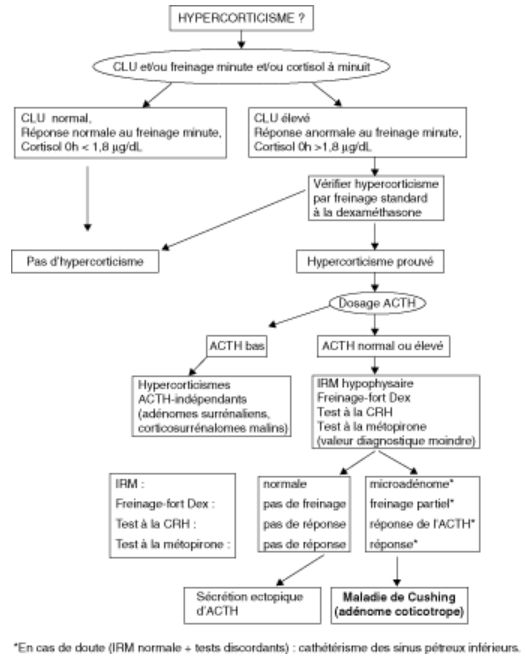 test de freinage minute