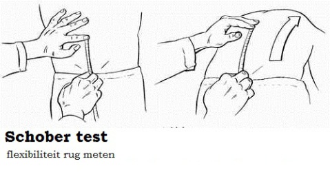 test de schober