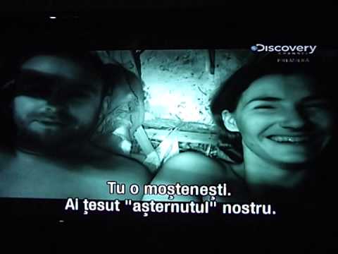 test de supravietuire in grup