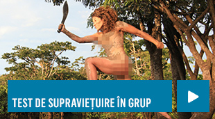 test de supravietuire in grup