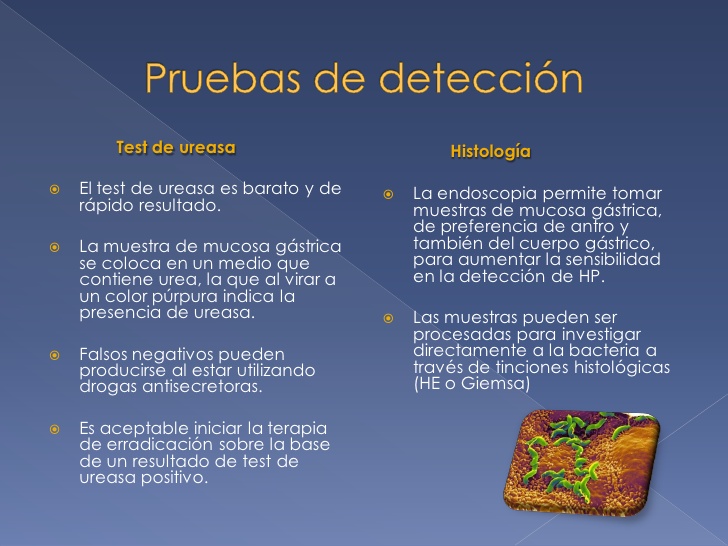 test de ureasa positivo