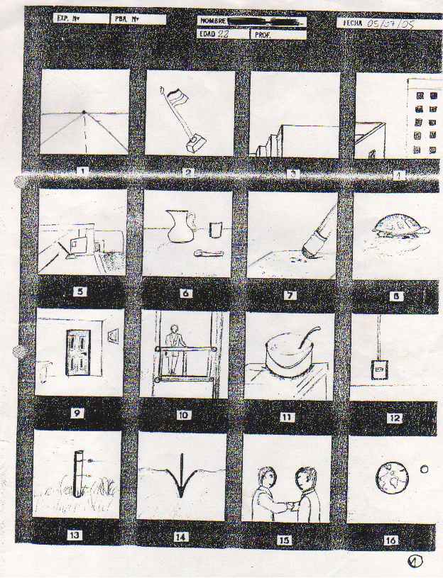 test de wartegg 16 campos