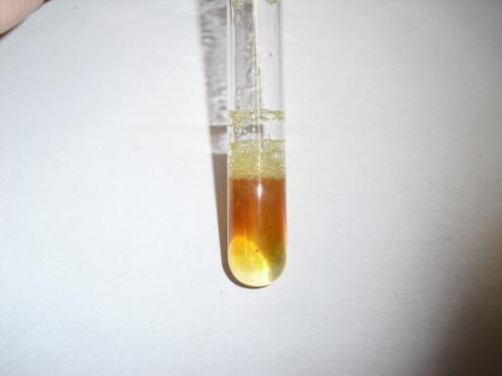 test de xanthoproteique