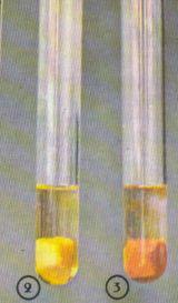 test de xanthoproteique